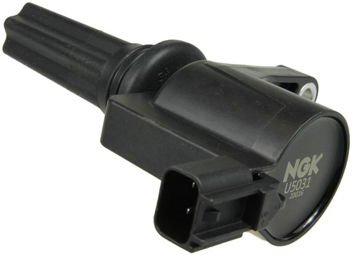481-U5031