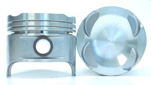 646-SP309-S