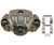 748-FRC12509