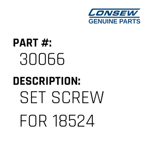 Set Screw For 18524 - Consew #30066 Genuine Consew Part