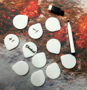 Wet & Dry Erase Tokens Set of 10 with Dry Erase Marker