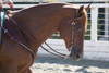 Western Breastplate/Headstall/Rein Design