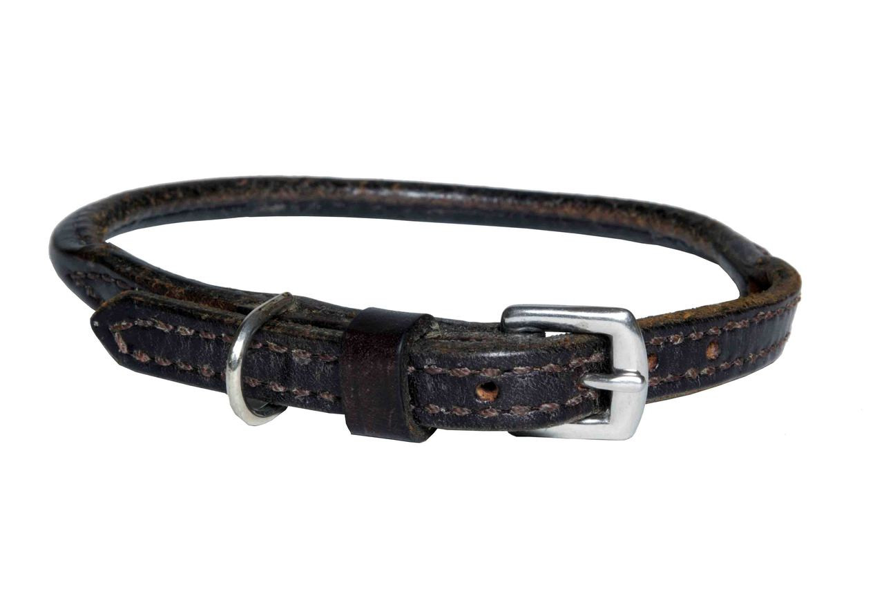 small leather dog collars