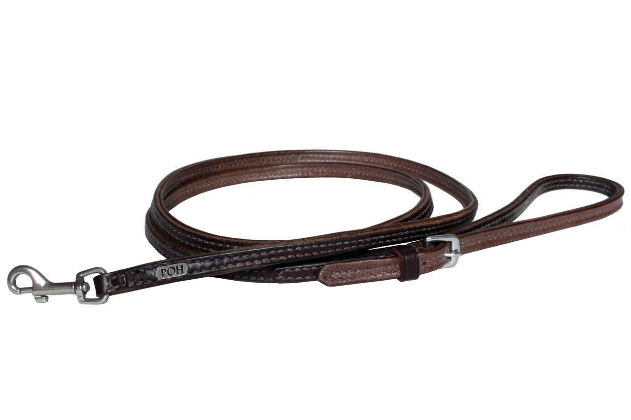 Leather Dog Leash for Small to Medium Dogs People On Horses Ride
