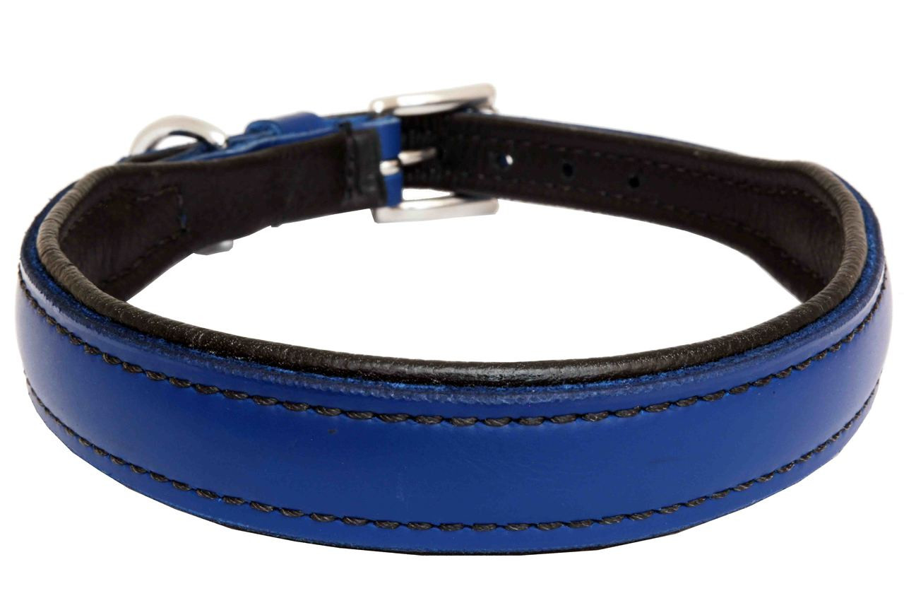 Blue leather collar Clearance