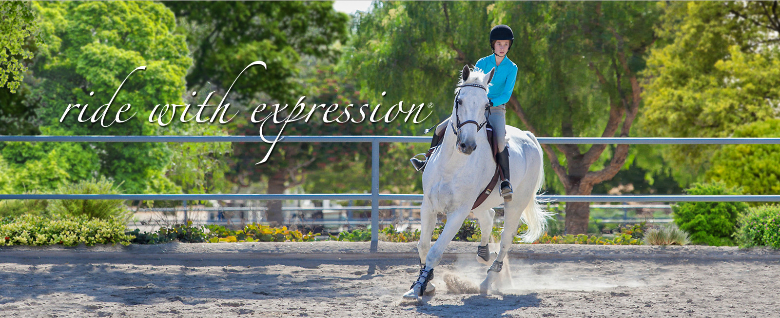Hunter/Jumper Halters – People On Horses – Ride With Expression!