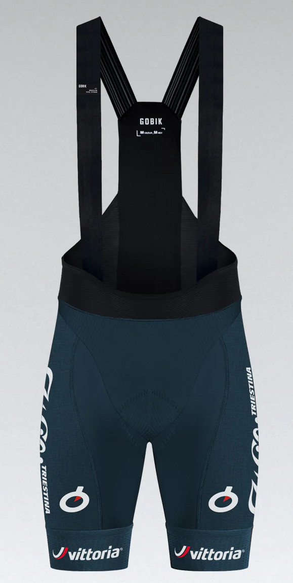 2024 Wilier Vittoria Bib Shorts. Official Cycling Bibs