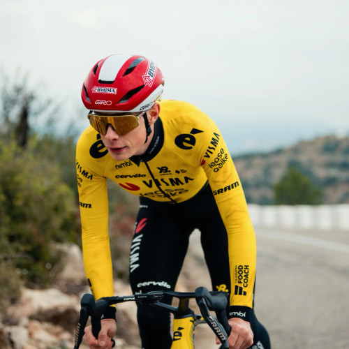 2026 Visma Lease A Bike Long Sleeve Jersey Rear Rider