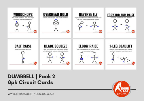Dumbbell Exercise Circuit Card Pack #2 Summary for older adults fitness classes