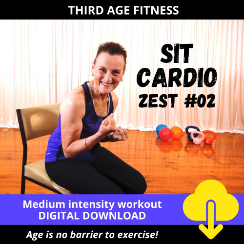 Digital download cover - SIT Cardio Zest workout 02