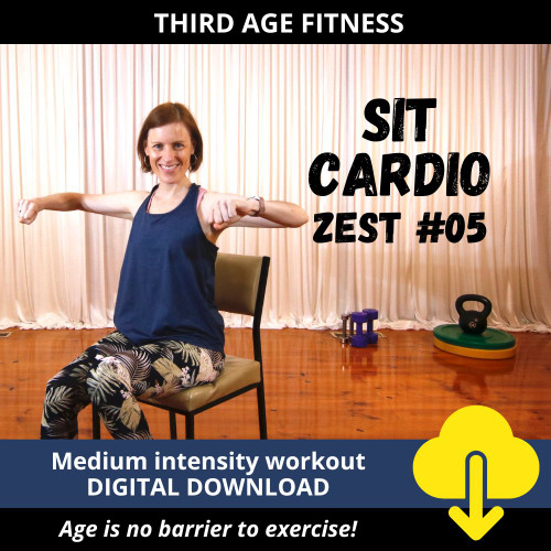 Digital download cover - SIT Cardio Zest Workout 05