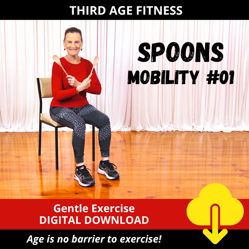 Digital download cover - Chair Mobility Spoons workout 01