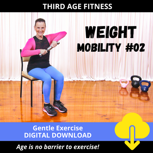 Digital download cover - Chair Mobility Weight exercises 02