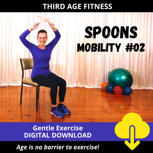 Workout Styles - Mobility Spoons Workouts - Third Age Fitness