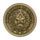 State of Texas Medallion