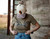 horse hat, horse lover hat, equestrian cap,