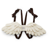 Dress Up Fairy Wings