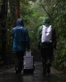 Follow Life Backpack [Light Grey] 7