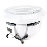 Roswell R1 10" Subwoofer | White Grille