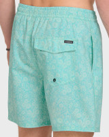 Quiksilver Mix Volley 17 Boardshorts [Brook Green] 6