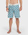 Quiksilver Sun Dial 19 Boardshorts [Mediterranean]