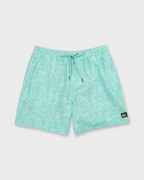 Quiksilver Mix Volley 17 Boardshorts [Brook Green]