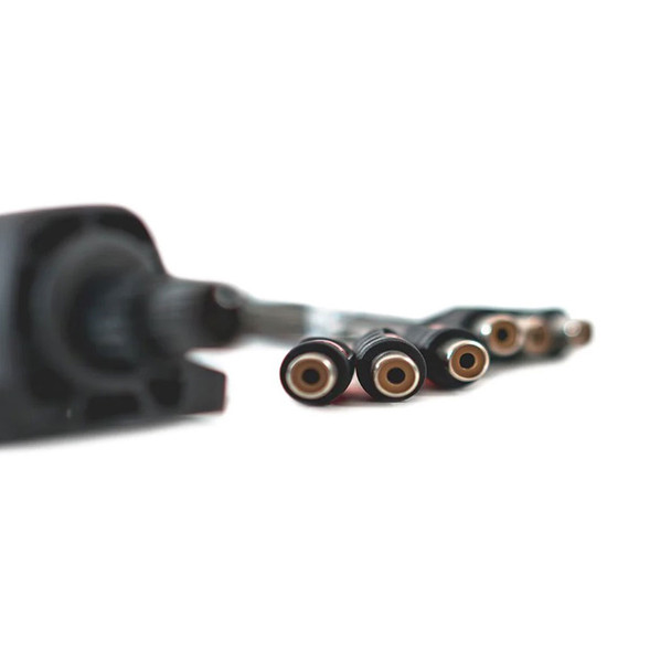 Roswell Dual Zone Volume Control 2