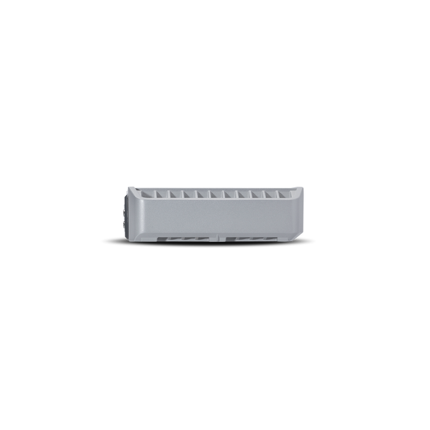 Rockford Fosgate Punch Marine 300 Watt 2-Channel Amplifier