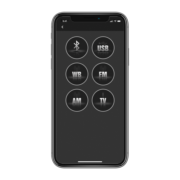 Rockford Fosgate Color Optix™ Light Controller with Optional App Interface 5