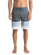 Quiksilver Swell Vision Boardshorts