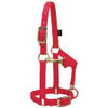 Weaver Average Miniature Horse Adjustable Chin & Throat Snap Halter, 5/8"