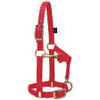 WEAVER Weaver Large Miniature Horse Adjustable Chin & Throat Snap Halter, 5/8" 