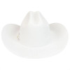 Bailey Unisex 4X Lightning Fur Felt Cowboy Hat