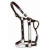 Circle Y Engraved Silver Show Halter Horse Size 