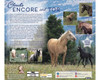 Breyer 1840 Cloud's Encore and Tor Model Horse Gift Set 