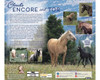 Breyer Traditional Clouds Encore & Tor Gift Set
