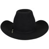 Bailey Unisex Black Hastings 4X Wool Felt Western Cowboy Hat