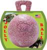 Horseman's Pride 10" Peppermint Scented Jolly Ball Made In USA 
