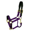 Intrepid Large Padded Halter 