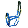 Intrepid Large Padded Halter 