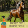 Absorbine Anta Fe Horse Coat Conditioner Sunscreen 