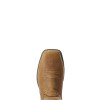 Ariat Women's Anthem Waterproof Composite Toe Distressed Brown Work Boot
