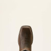 Ariat Women's Dark Chocolate/Serape Anthem VentTEK Waterproof Work Boots