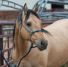 WEAVER Weaver Silvertip Four Knot Rope Leather Halter 