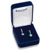 Montana Silversmiths Women's Turquoise Desert Moonlight Earrings