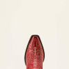 ARIAT Ariat Women's Grenadine Round Up Collins D Toe Western Boot