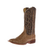 TONY LAMA CO. INC., Tony Lama Women's Cheyenne Tan Ostrich Taupe Goat Top Boot