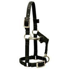 WEAVER Weaver Average Miniature Horse Adjustable Chin & Throat Snap Halter, 5/8" 