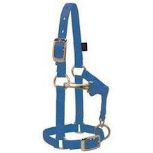 Weaver Large Miniature Horse Adjustable Chin & Throat Snap Halter, 5/8"