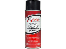 Shapley's Black Show Touch Up Aerosol Can